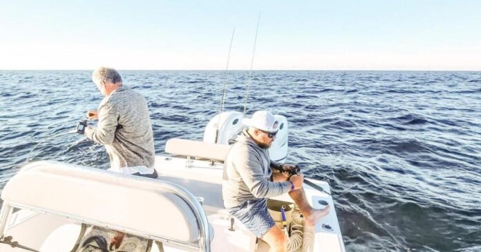 What Fish Can You Catch In Panama City?