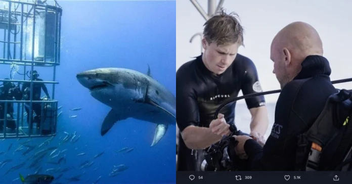 Did You Know About The Robert Irwin’s Jaw-dropping White Shark