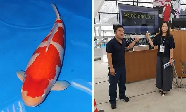  The World’s Most Expensive Fish