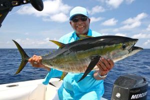 yellowfin tuna